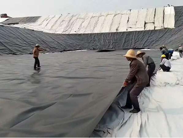 Длина По требованию клиента Геомембрана из HDPE водонепроницаемая для рыбоводческих ферм 6